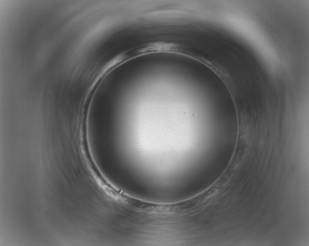 X0000081580861200701151241