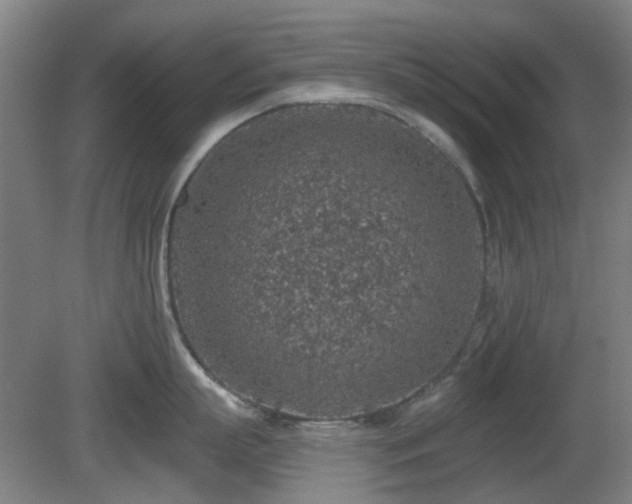 X0000081580863200701151241