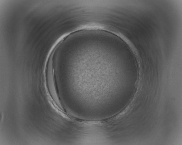 X0000081580864200701151241