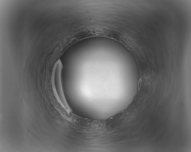 X0000081580865200701151240