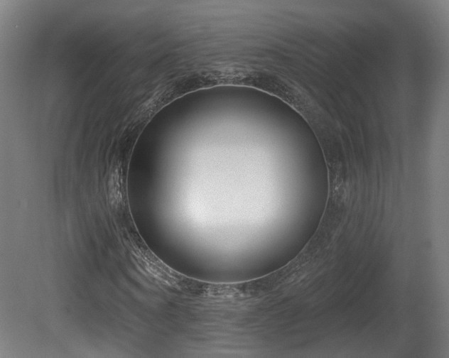 X0000081580866200701151240