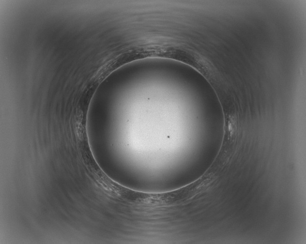 X0000081580867200701151240