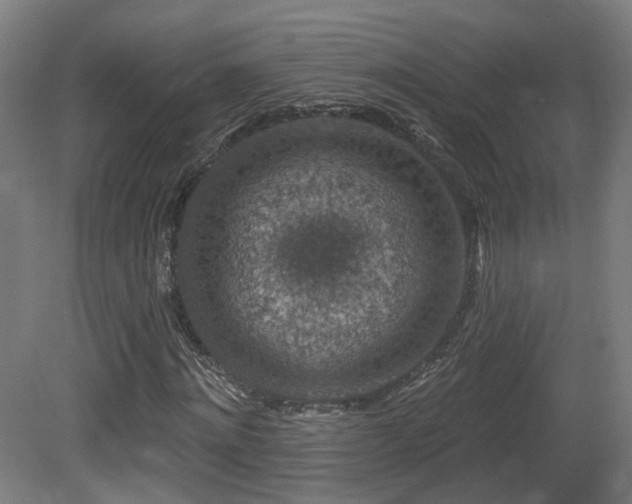 X0000081580868200701151240