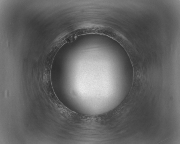 X0000081580869200701151240