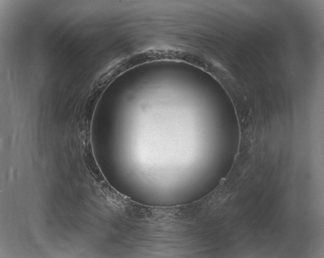 X0000081580870200701151240