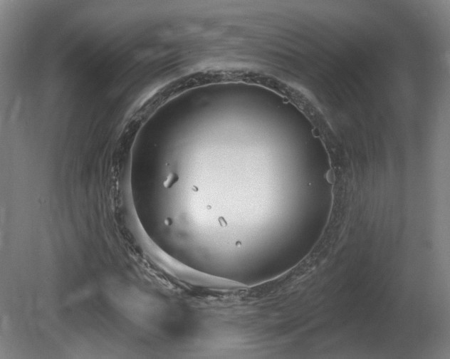 X0000081580871200701151240