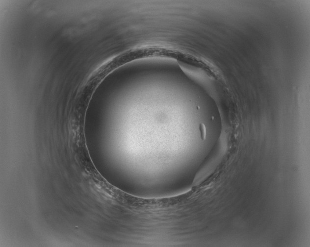 X0000081580872200701151240