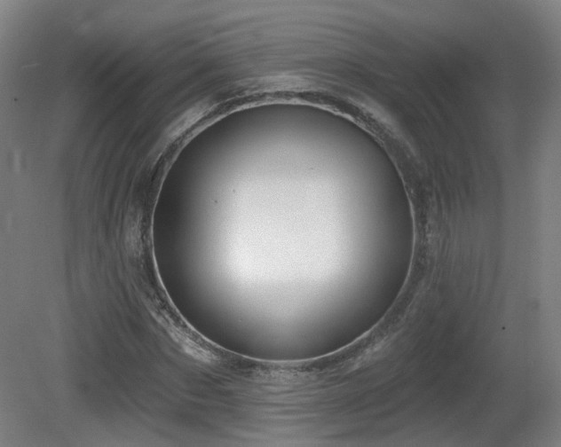 X0000081580873200701151240