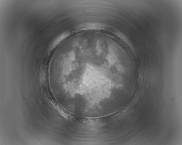 X0000081580874200701151240