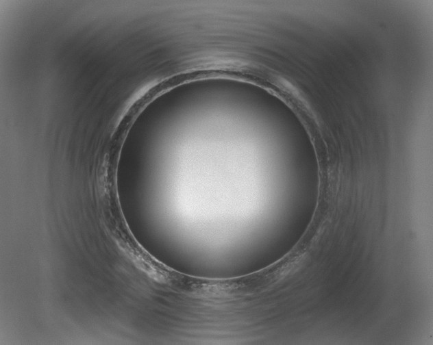 X0000081580875200701151240