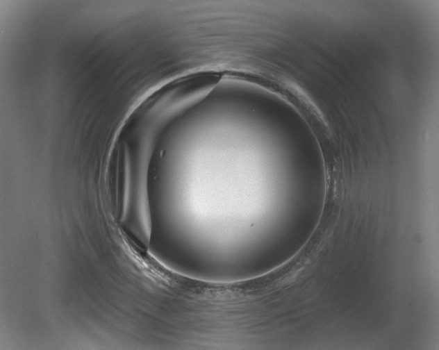 X0000081580876200701151240