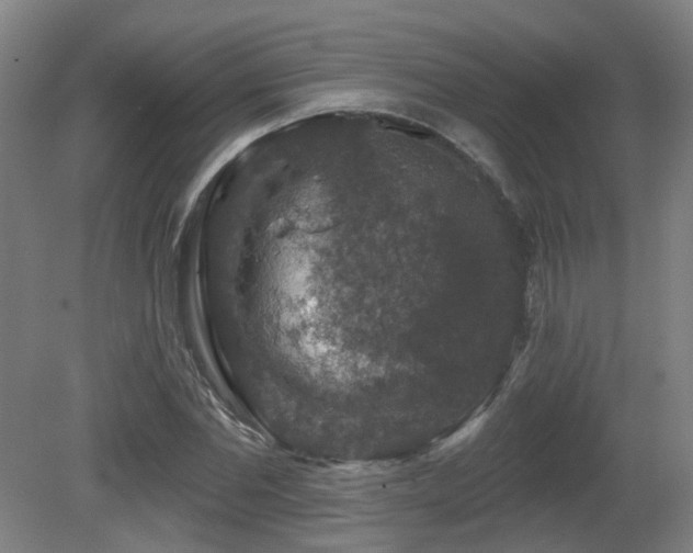 X0000081580877200701151240