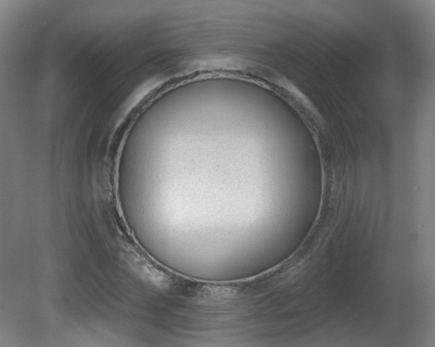 X0000081580878200701151240