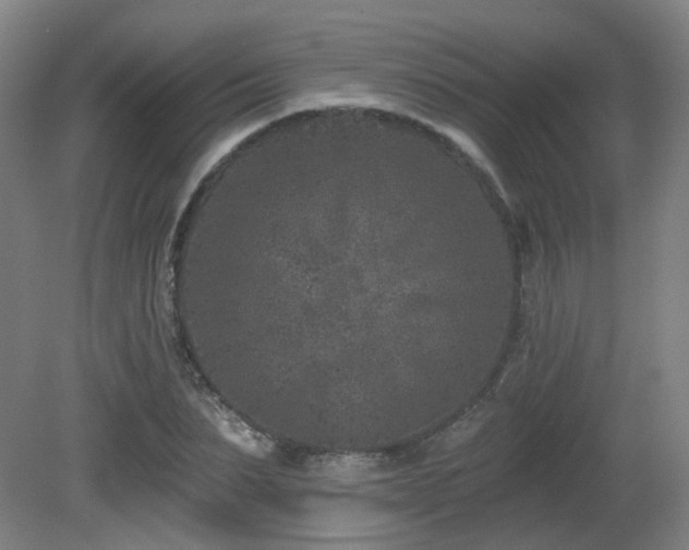 X0000081580879200701151240