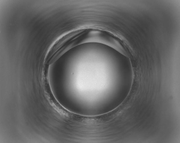 X0000081580880200701151240