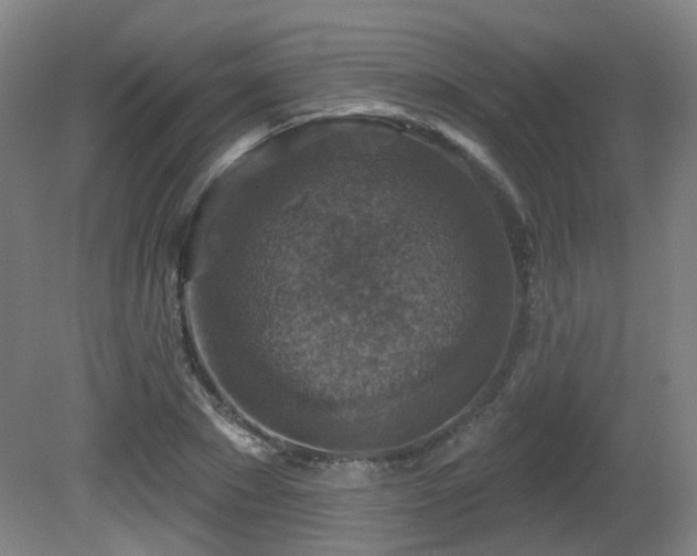 X0000081580881200701151240