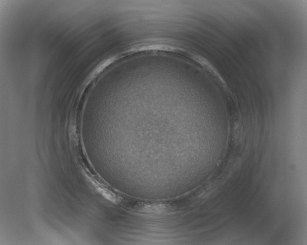 X0000081580882200701151240