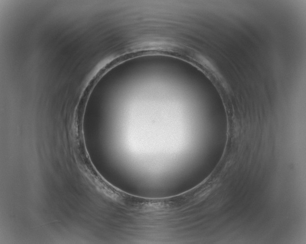 X0000081580883200701151240