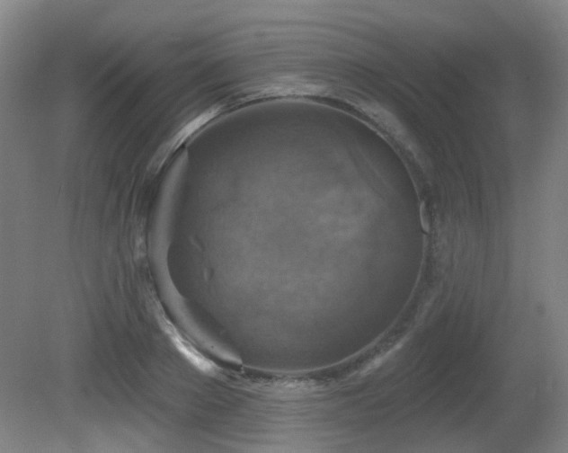 X0000081580889200701151240