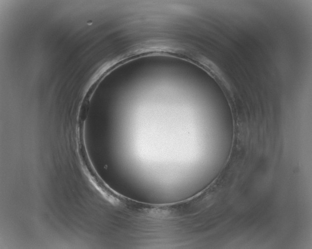 X0000081580890200701151240