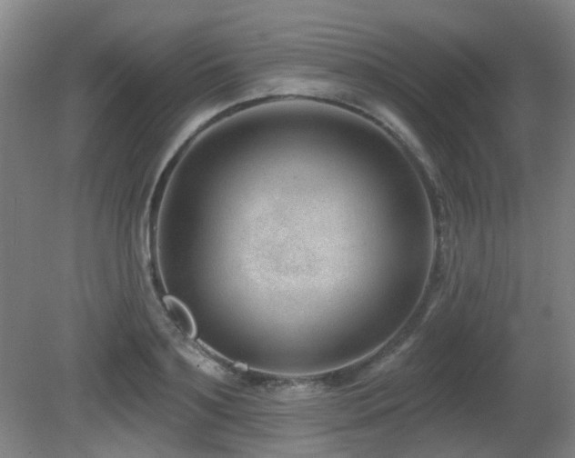 X0000081580891200701151240