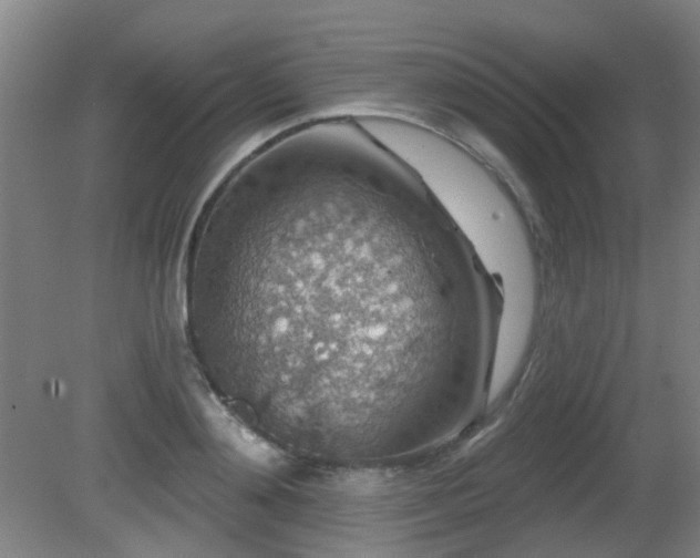 X0000081580892200701151240