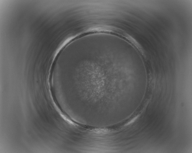 X0000081580893200701151240