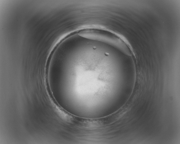 X0000081580895200701151240