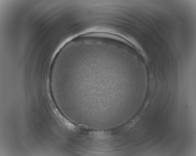 X0000081580896200701151240