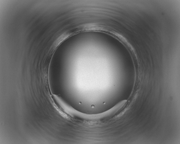 X0000081580897200701151240