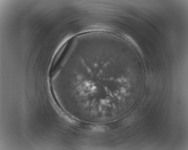 X0000081580899200701151240