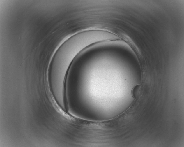 X0000081580900200701151240