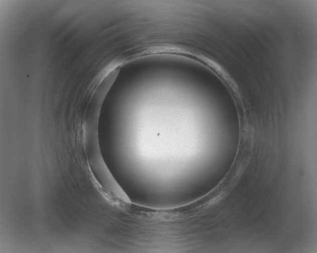 X0000081580905200701151240