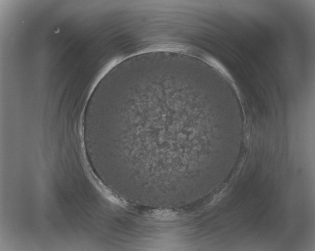 X0000081580907200701151240