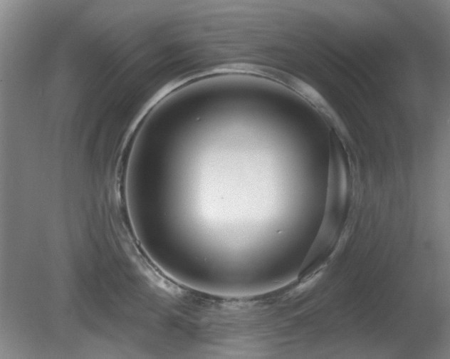 X0000081580908200701151240