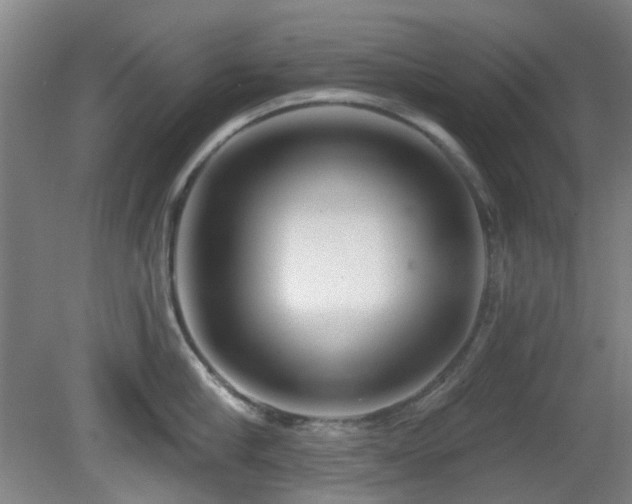 X0000081580910200701151240