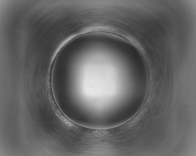 X0000081580912200701151239