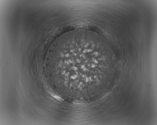 X0000081580913200701151239