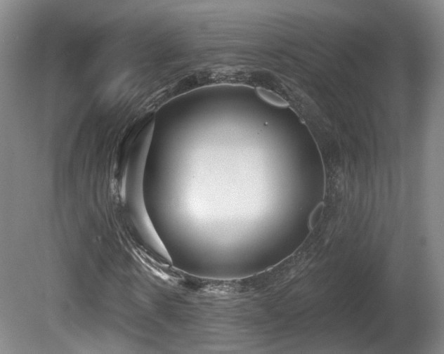 X0000081580914200701151239