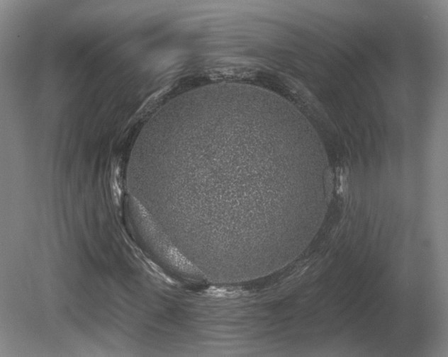 X0000081580915200701151239