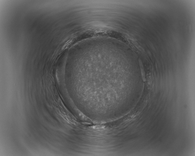 X0000081580916200701151239