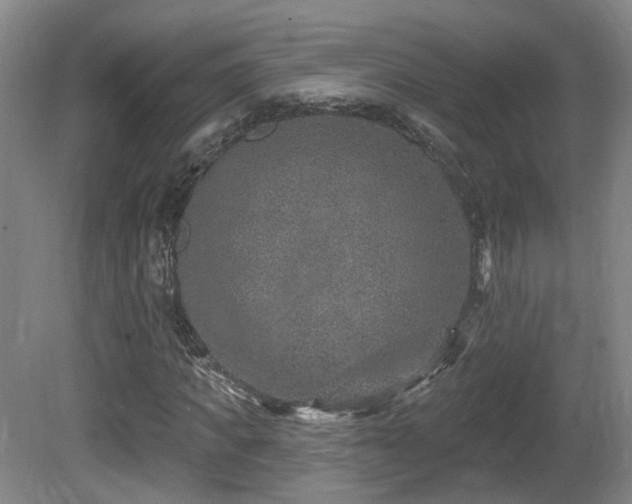 X0000081580917200701151239