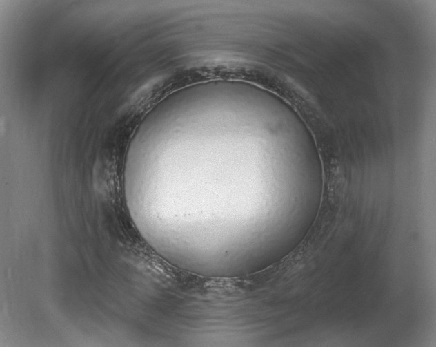 X0000081580918200701151239