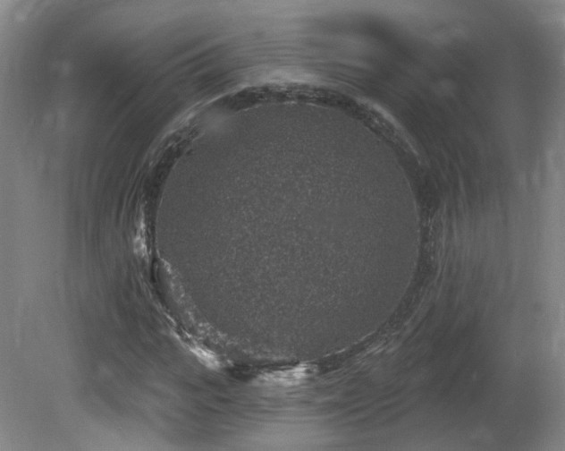 X0000081580919200701151239