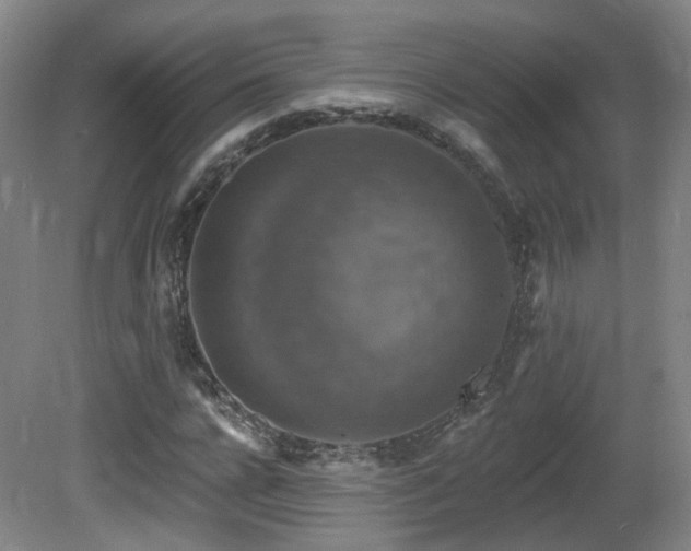 X0000081580920200701151239