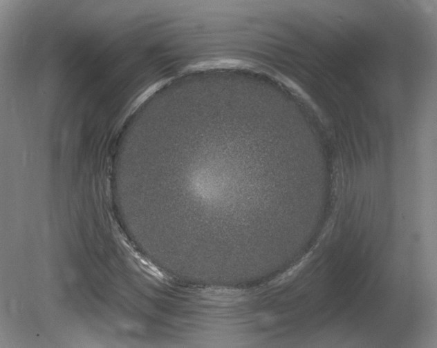 X0000081580921200701151239