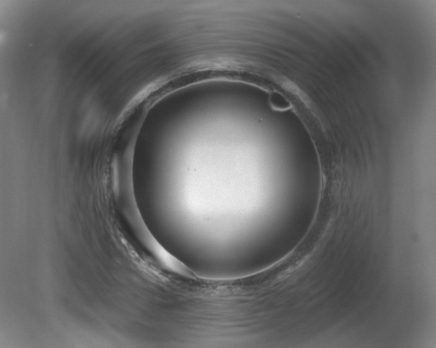 X0000081580922200701151239