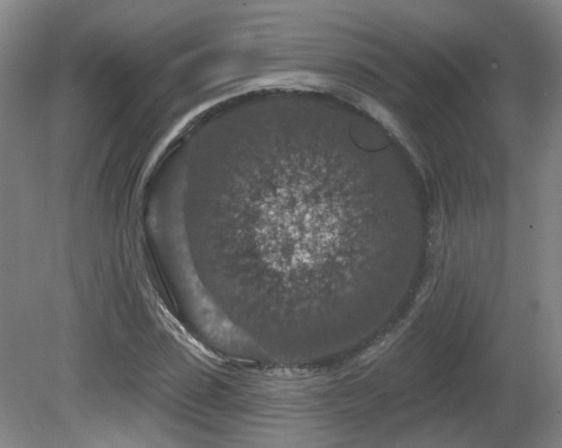 X0000081580923200701151239