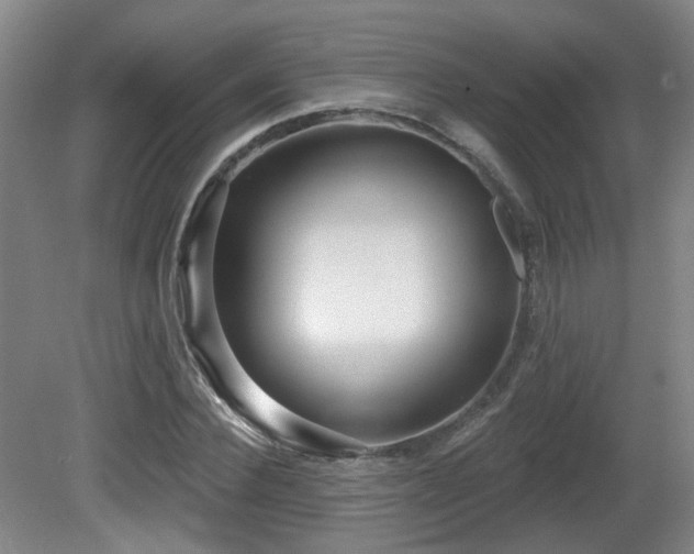 X0000081580924200701151239