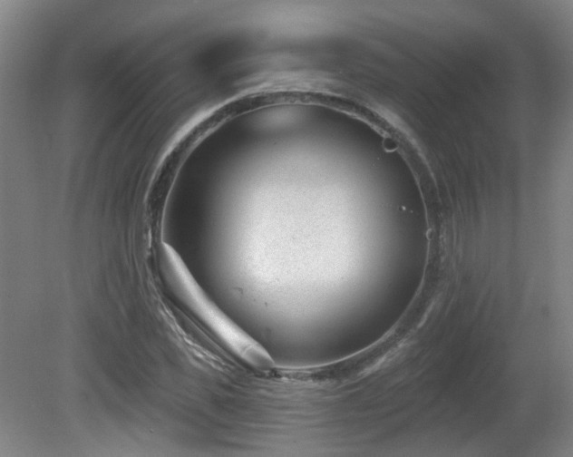 X0000081580925200701151239